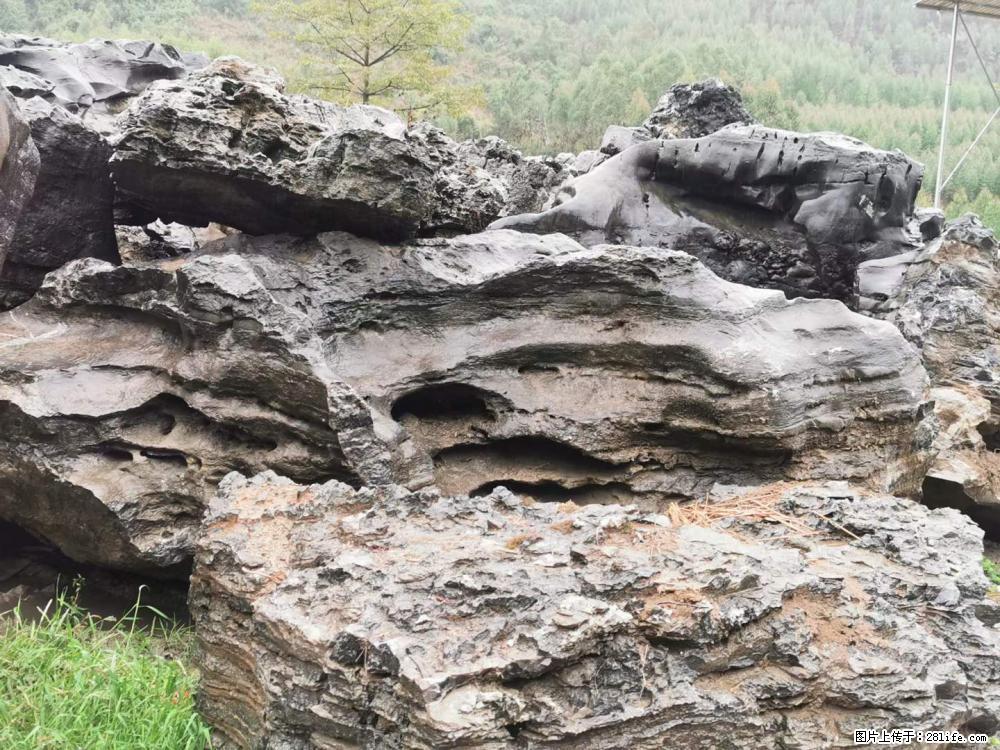 风景石、假山石大量有货，有需要的欢迎联系 - 新手上路 - 鹰潭生活社区 - 鹰潭28生活网 yingtan.28life.net