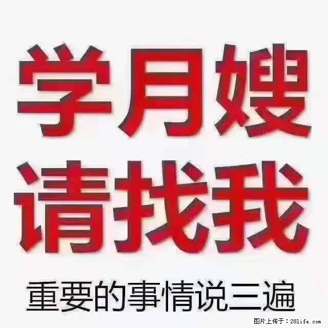 为什么要学习月嫂，育婴师？ - 其他广告 - 广告专区 - 鹰潭分类信息 - 鹰潭28生活网 yingtan.28life.net
