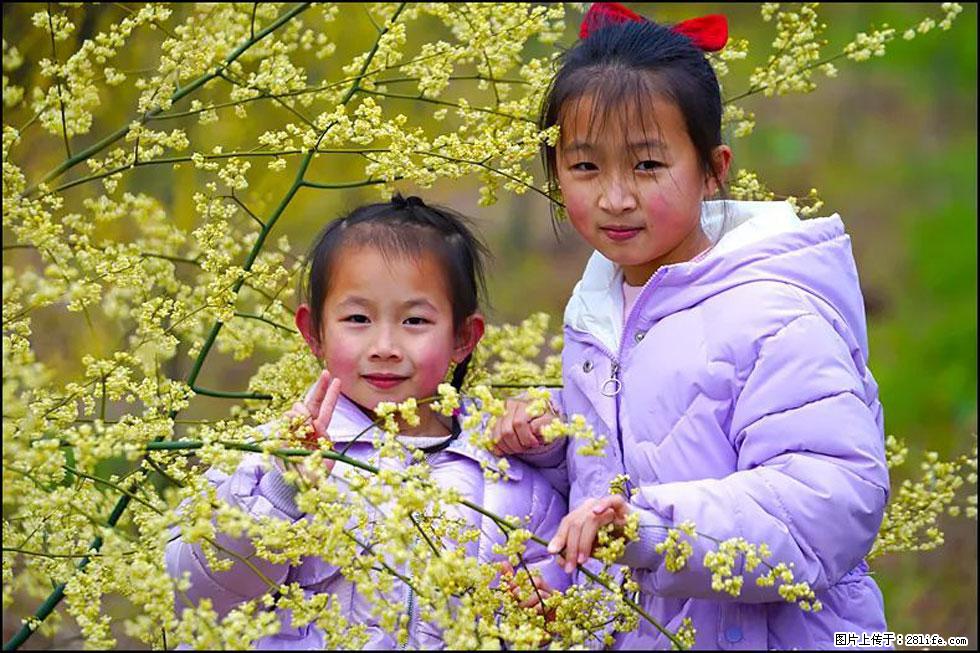 【春天，广西桂林灌阳县向您发出邀请！】米珠山前有片山苍子花在飘香 - 游山玩水 - 鹰潭生活社区 - 鹰潭28生活网 yingtan.28life.net