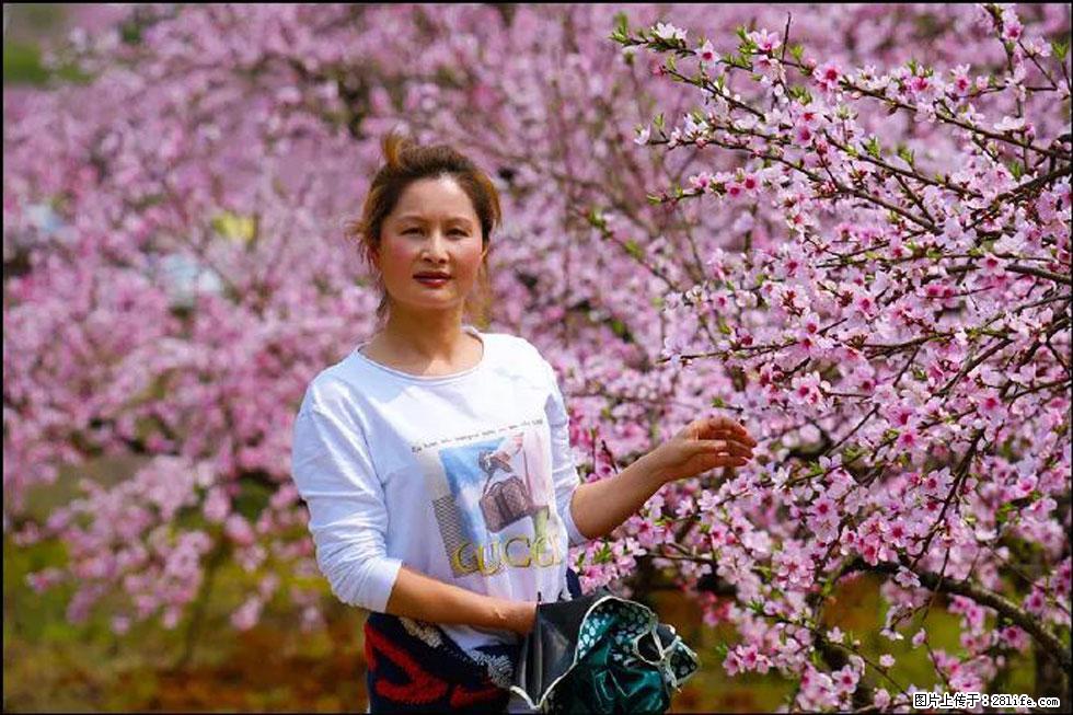 【春天，广西桂林灌阳县向您发出邀请！】官庄村有个醉美的桃花园 - 游山玩水 - 鹰潭生活社区 - 鹰潭28生活网 yingtan.28life.net