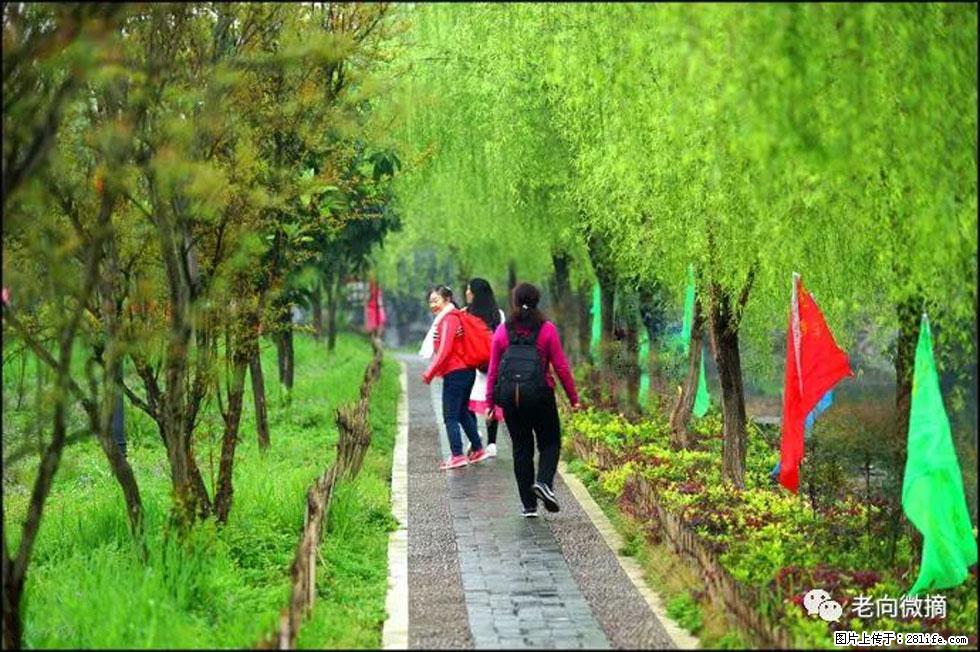 【春天，广西桂林灌阳县向您发出邀请！】江口老街又逢春 - 游山玩水 - 鹰潭生活社区 - 鹰潭28生活网 yingtan.28life.net