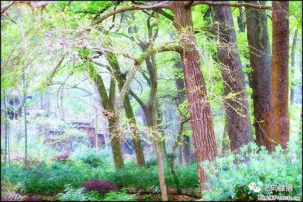 【春天，广西桂林灌阳县向您发出邀请！】在小龙村与春天约会 - 游山玩水 - 鹰潭生活社区 - 鹰潭28生活网 yingtan.28life.net
