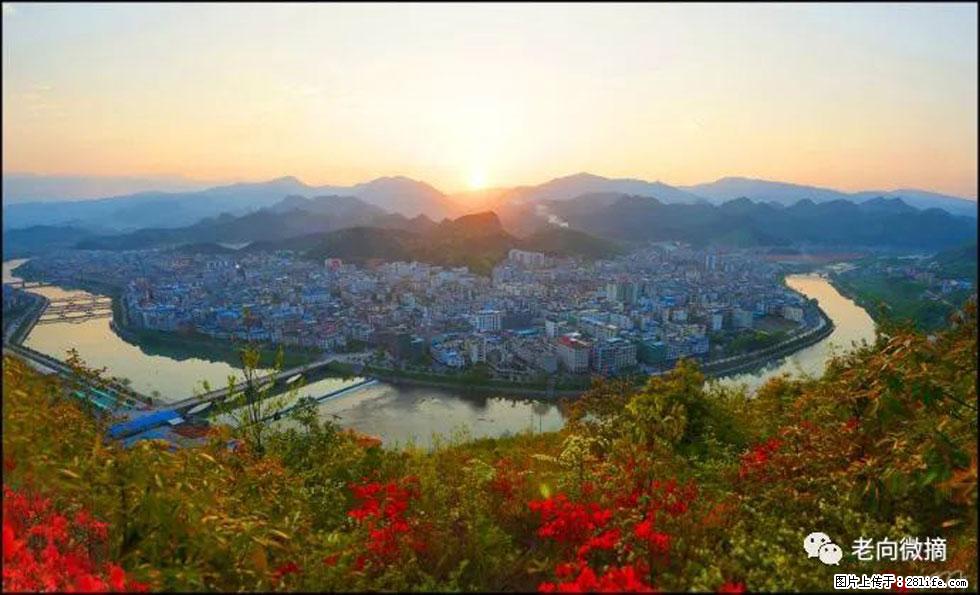 【春天，广西桂林灌阳县向您发出邀请！】登麒麟山，相约映山红 - 游山玩水 - 鹰潭生活社区 - 鹰潭28生活网 yingtan.28life.net