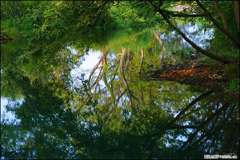【春天，广西桂林灌阳县向您发出邀请！】熊家寨湿地公园 - 游山玩水 - 鹰潭生活社区 - 鹰潭28生活网 yingtan.28life.net