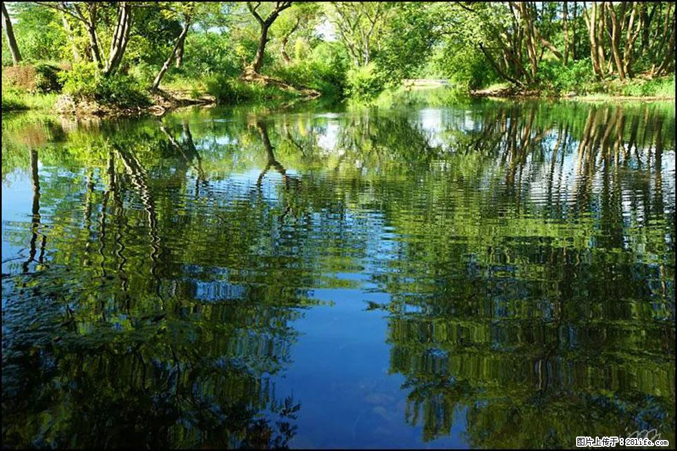 【春天，广西桂林灌阳县向您发出邀请！】熊家寨湿地公园 - 游山玩水 - 鹰潭生活社区 - 鹰潭28生活网 yingtan.28life.net