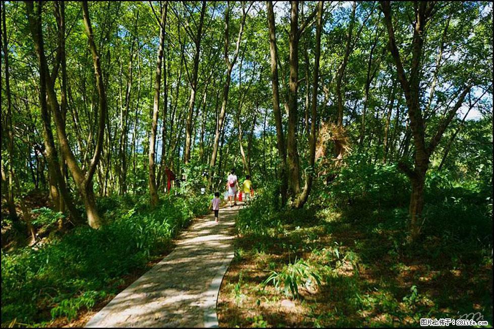 【春天，广西桂林灌阳县向您发出邀请！】熊家寨湿地公园 - 游山玩水 - 鹰潭生活社区 - 鹰潭28生活网 yingtan.28life.net