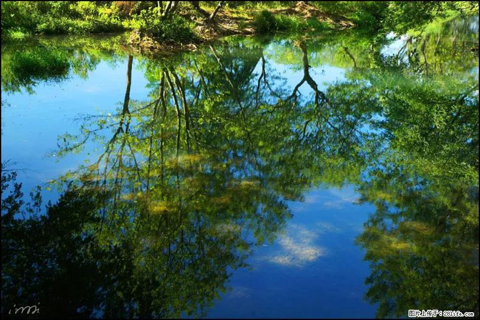 【春天，广西桂林灌阳县向您发出邀请！】熊家寨湿地公园 - 游山玩水 - 鹰潭生活社区 - 鹰潭28生活网 yingtan.28life.net