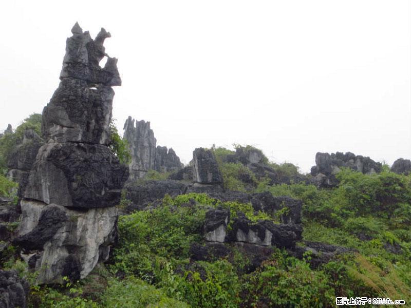 桂林旅游名城景点：灌阳文市石林 - 游山玩水 - 鹰潭生活社区 - 鹰潭28生活网 yingtan.28life.net