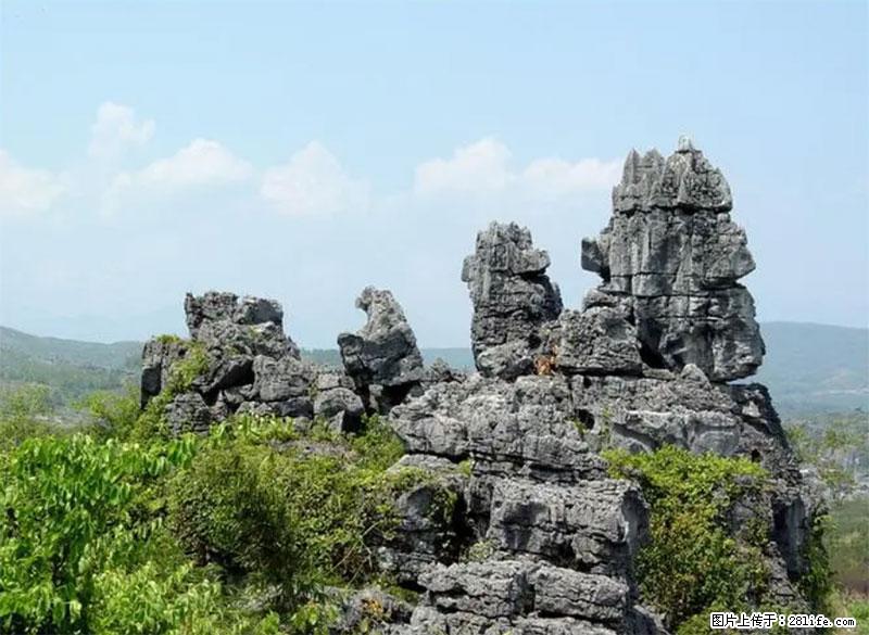 桂林旅游名城景点：灌阳文市石林 - 游山玩水 - 鹰潭生活社区 - 鹰潭28生活网 yingtan.28life.net