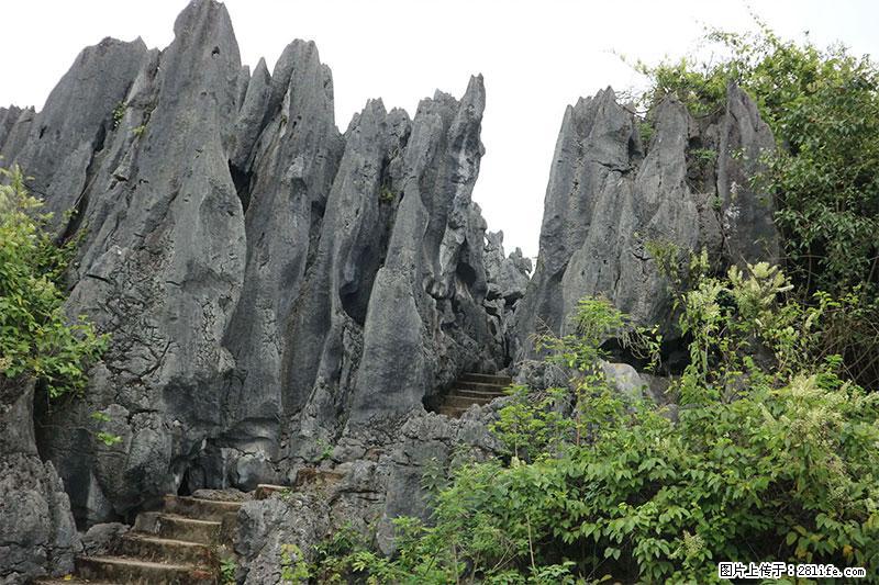 桂林旅游名城景点：灌阳文市石林 - 游山玩水 - 鹰潭生活社区 - 鹰潭28生活网 yingtan.28life.net