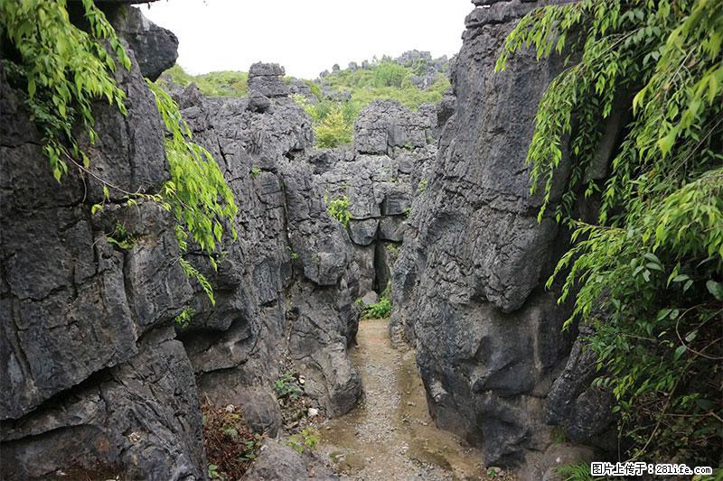 桂林旅游名城景点：灌阳文市石林 - 游山玩水 - 鹰潭生活社区 - 鹰潭28生活网 yingtan.28life.net