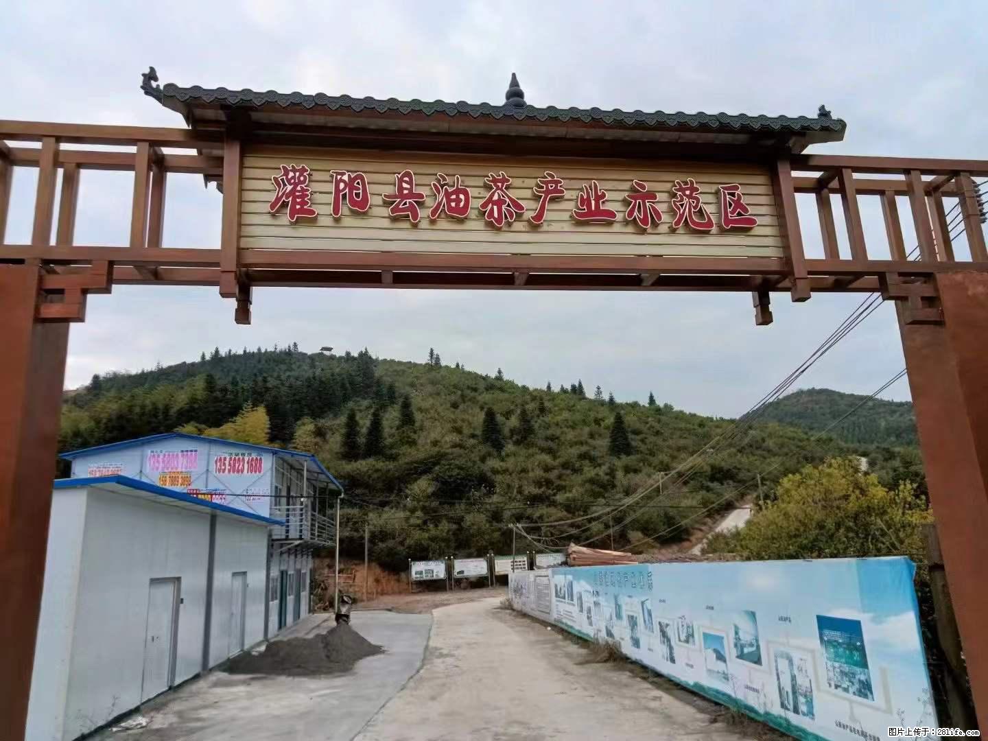 【灌阳县油茶产业示范区】一个有着充实的精神生活的人，对待身外之物自会有一种淡泊的态度 - 土特产 - 饮食特产 - 鹰潭分类信息 - 鹰潭28生活网 yingtan.28life.net