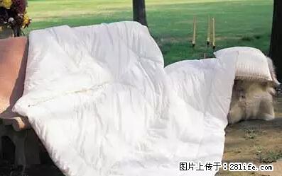 被子有异味？只要这样做，比晒太阳还强100倍！ - 家居生活 - 鹰潭生活社区 - 鹰潭28生活网 yingtan.28life.net