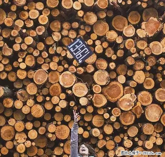 辞掉工作周游世界？现在他们在洗厕所…… - 游山玩水 - 鹰潭生活社区 - 鹰潭28生活网 yingtan.28life.net