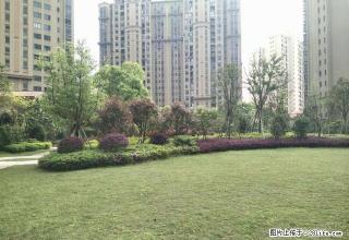 水木清华 新一中就在对面 读书很方便 - 鹰潭28生活网 yingtan.28life.net