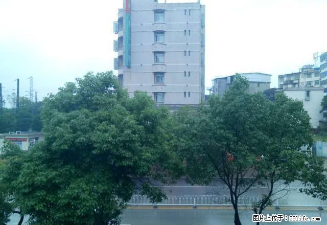 五洲路口大户型，便宜出租 - 房屋出租 - 房屋租售 - 鹰潭分类信息 - 鹰潭28生活网 yingtan.28life.net