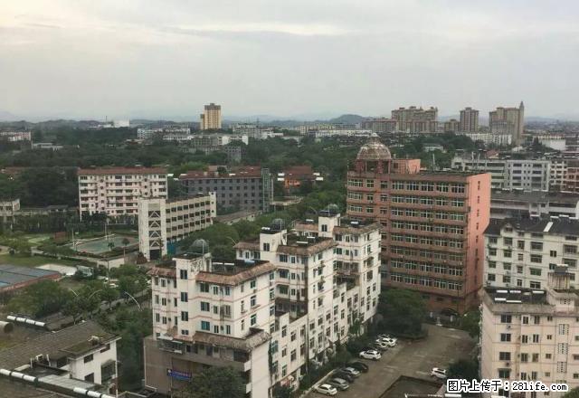 (单间出租)楼层好，环境很话好，家电齐全，拎包入住，房东好说 - 房屋出租 - 房屋租售 - 鹰潭分类信息 - 鹰潭28生活网 yingtan.28life.net