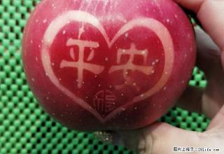 市区中心 公寓出租 精装修 拎包入住 随时看房 朝南的公寓哦 - 鹰潭28生活网 yingtan.28life.net