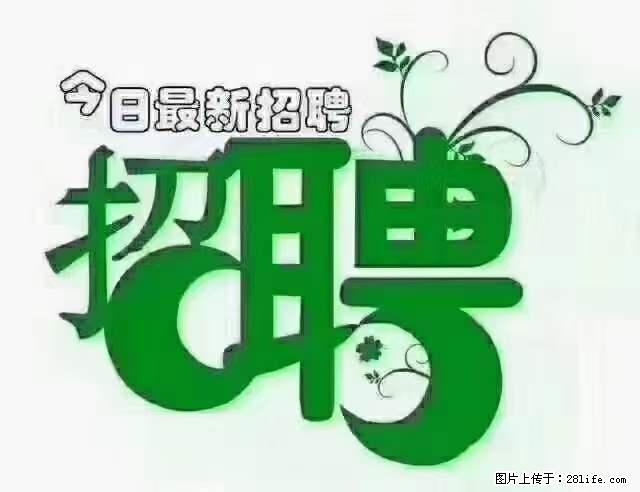 【招聘摄像师】待遇：试用期6000元/月，转正7000元/月+五险一金+餐补+节日福利+奖金 - 其他招聘信息 - 招聘求职 - 鹰潭分类信息 - 鹰潭28生活网 yingtan.28life.net