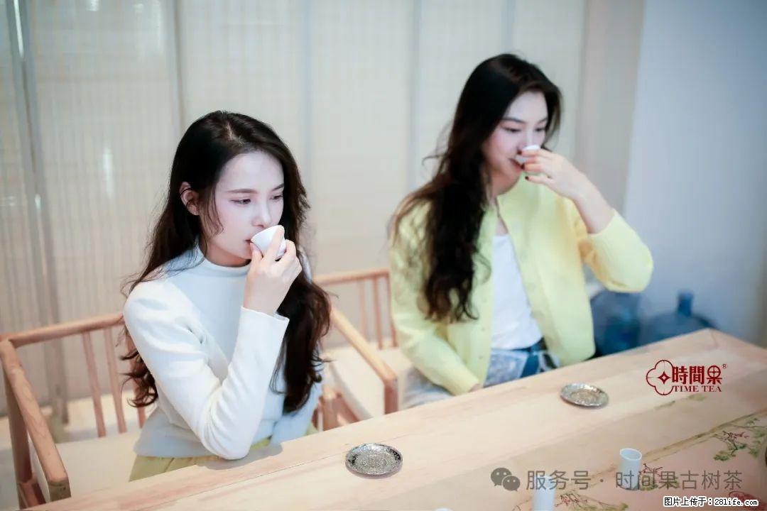 时间果百年古树龙珠普洱生茶 - 购物交流 - 鹰潭生活社区 - 鹰潭28生活网 yingtan.28life.net