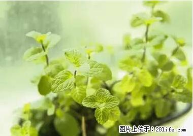 晕车、脚气、牙齿变黄、皮肤粗糙？学会这些三分钟搞定！ - 鹰潭生活资讯 - 鹰潭28生活网 yingtan.28life.net