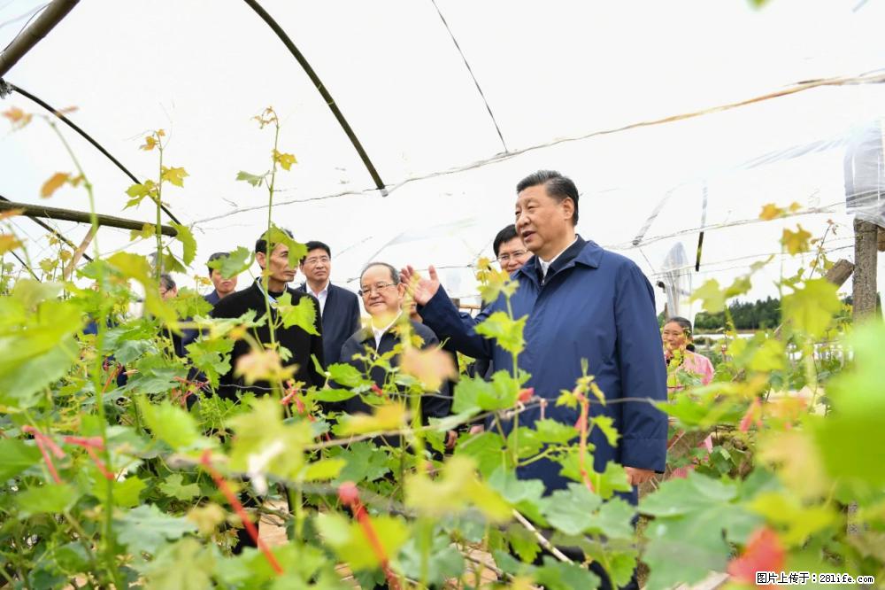 习近平赴广西考察调研 - 鹰潭生活资讯 - 鹰潭28生活网 yingtan.28life.net