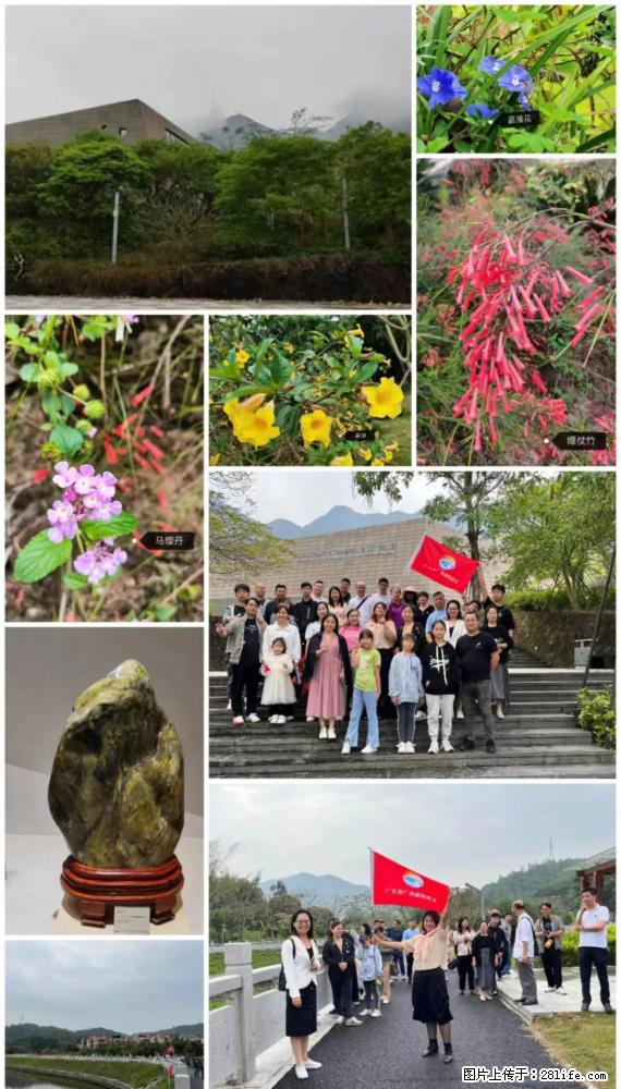 “粤灌文化 美好生活”油茶文化主题活动在广东深圳成功举办 - 鹰潭生活资讯 - 鹰潭28生活网 yingtan.28life.net