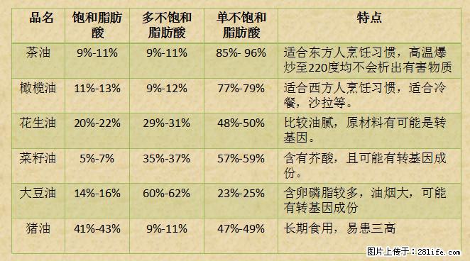 揭秘茶油的5大核心营养成分！被称为人体健康的“守护盾”！ - 鹰潭生活资讯 - 鹰潭28生活网 yingtan.28life.net