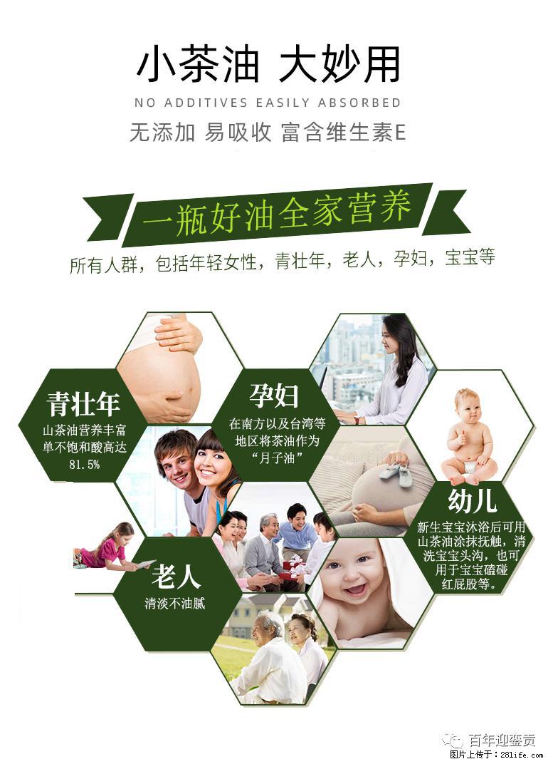 世界没有真相，只有认知，最好的食用油是中国的山茶油！ - 鹰潭生活资讯 - 鹰潭28生活网 yingtan.28life.net