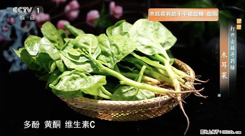 比牛奶补钙还厉害！凉血解毒、稳血糖...这菜冬天必吃，很多人却当草 - 鹰潭生活资讯 - 鹰潭28生活网 yingtan.28life.net