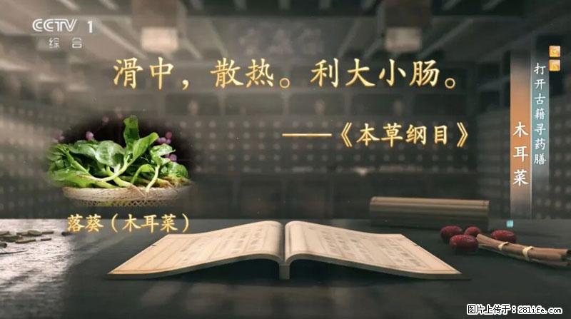 比牛奶补钙还厉害！凉血解毒、稳血糖...这菜冬天必吃，很多人却当草 - 鹰潭生活资讯 - 鹰潭28生活网 yingtan.28life.net