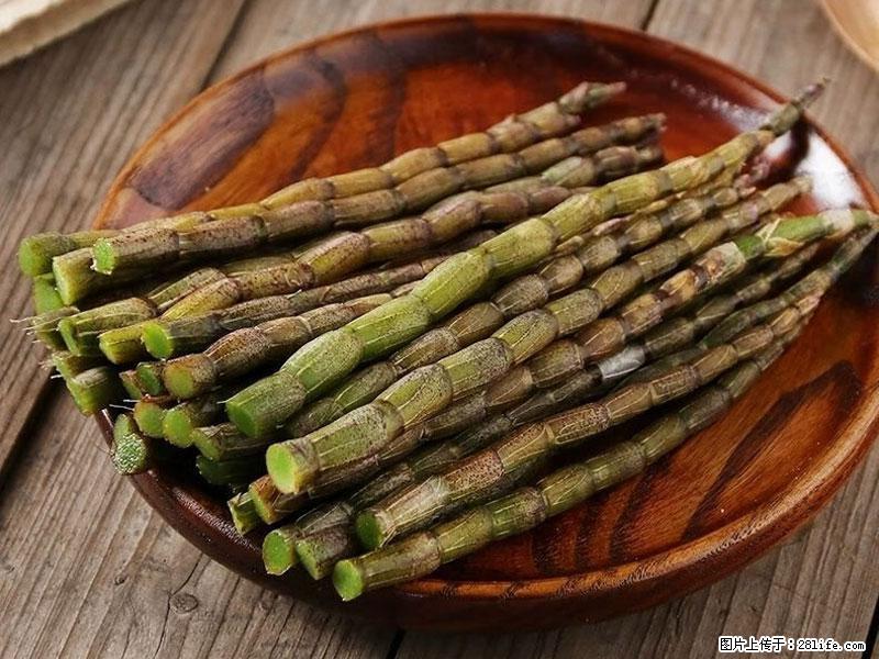 铁皮石斛的作用与功能主治 - 鹰潭生活资讯 - 鹰潭28生活网 yingtan.28life.net